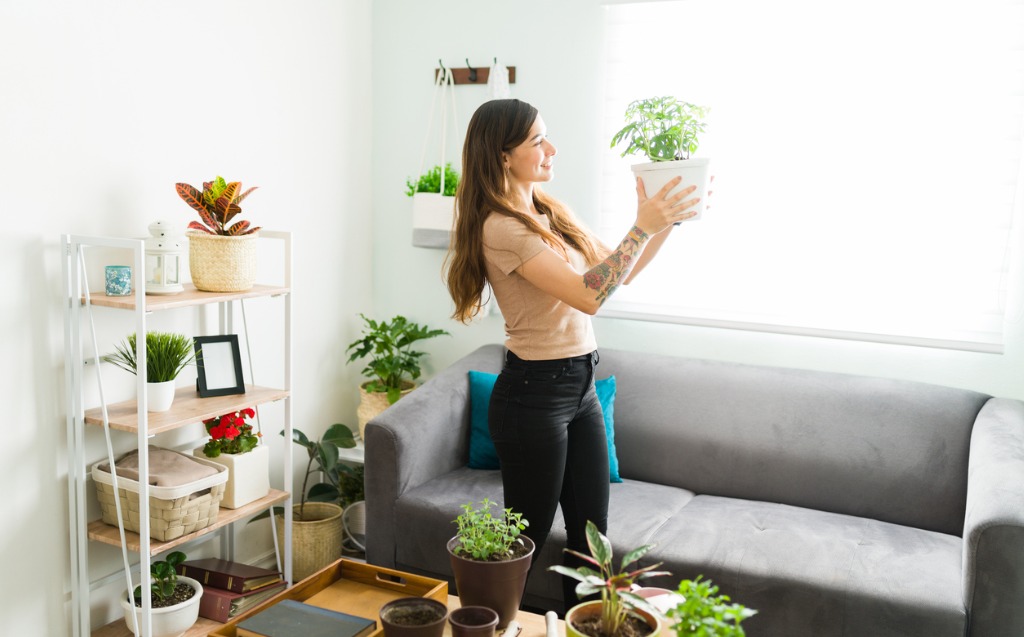 Attractive woman in her 20s holding her green plant and smiling in the living room.