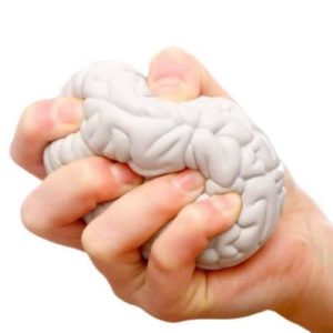 Hand squeezing a brain shaped stress ball.